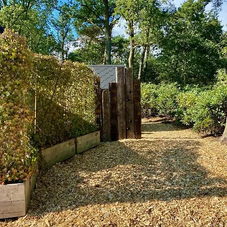 Domek letniskowy Luxe Finse Kota Met Jacuzzi En Saunabarrel De Zandhoef Eersel