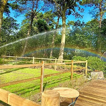 Lodge Luxe Finse Kota Met Jacuzzi En Saunabarrel De Zandhoef Eersel