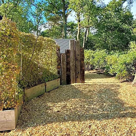 Luxe Finse Kota Met Jacuzzi En Saunabarrel De Zandhoef Lodge