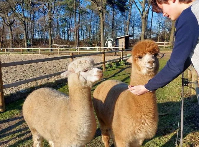 אכסניה Luxe Finse Kota Met Jacuzzi En Saunabarrel De Zandhoef אירסל