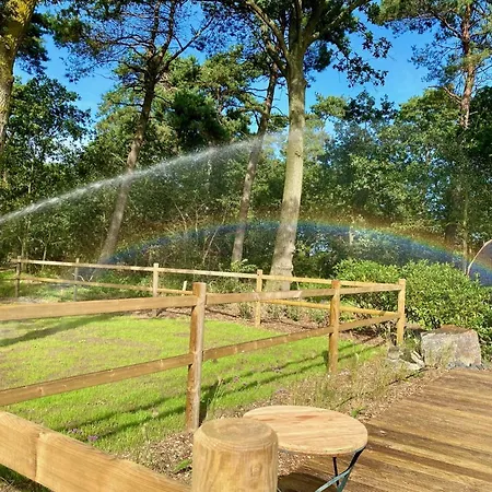 Domek letniskowy Luxe Finse Kota Met Jacuzzi En Saunabarrel De Zandhoef *