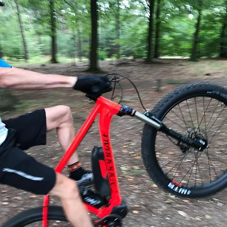 Domek letniskowy Luxe Finse Kota Met Jacuzzi En Saunabarrel De Zandhoef Eersel