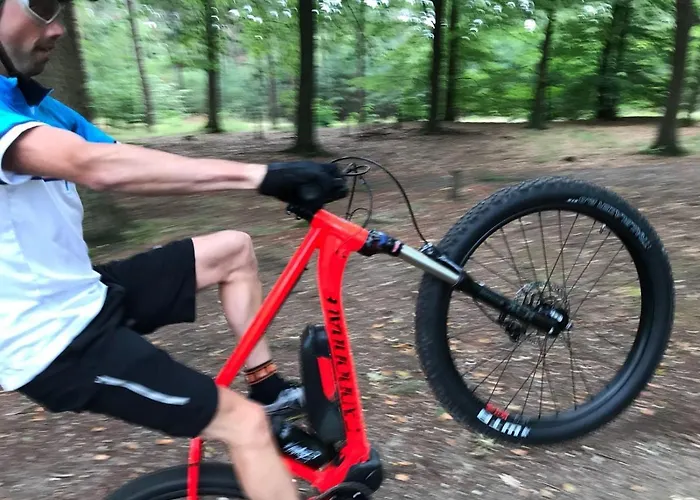 Lodge Luxe Finse Kota Met Jacuzzi En Saunabarrel De Zandhoef Eersel